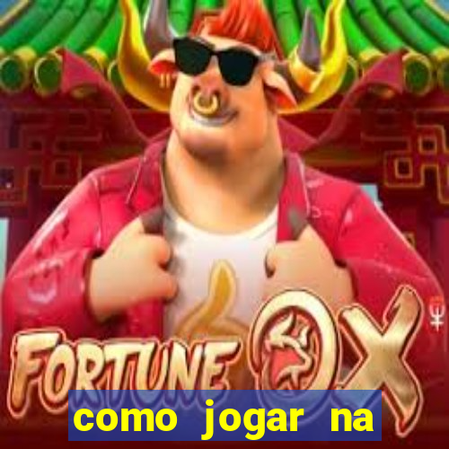 como jogar na loteca pela internet